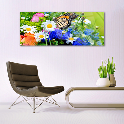 Acrylglasbilder Blumen Falter Natur