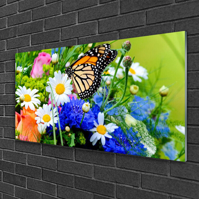 Acrylglasbilder Blumen Falter Natur