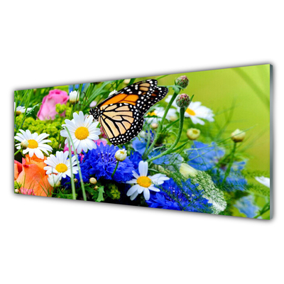 Acrylglasbilder Blumen Falter Natur