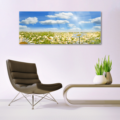 Glasbild aus Plexiglas® Wiese Gänseblümchen Natur