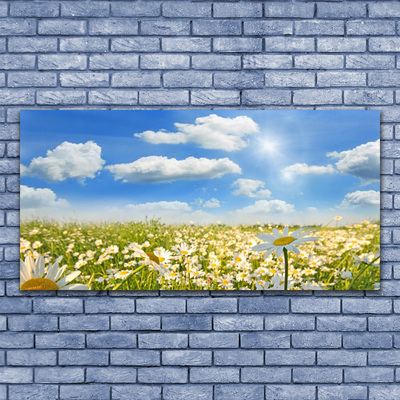 Glasbild aus Plexiglas® Wiese Gänseblümchen Natur