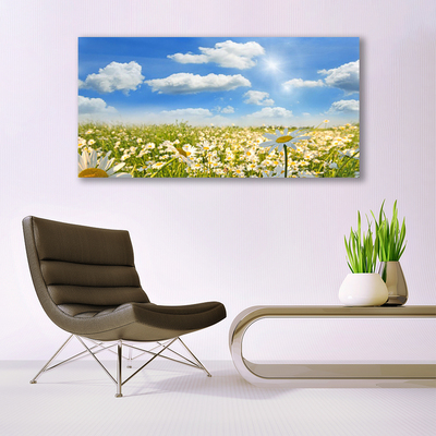 Glasbild aus Plexiglas® Wiese Gänseblümchen Natur