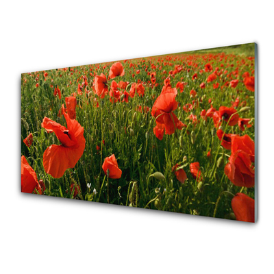 Glasbild aus Plexiglas® Mohnblumen Natur