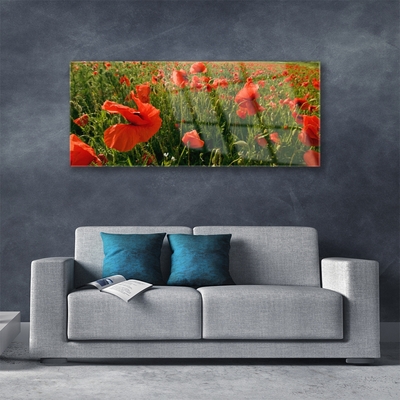 Glasbild aus Plexiglas® Mohnblumen Natur