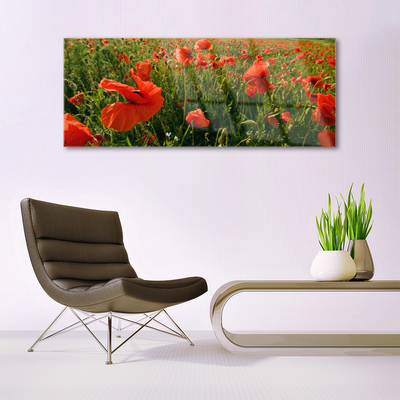 Glasbild aus Plexiglas® Mohnblumen Natur