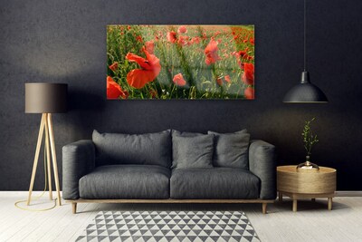 Glasbild aus Plexiglas® Mohnblumen Natur