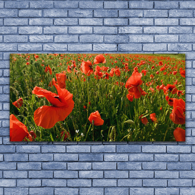 Glasbild aus Plexiglas® Mohnblumen Natur