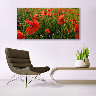 Glasbild aus Plexiglas® Mohnblumen Natur