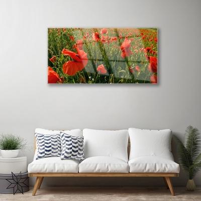 Glasbild aus Plexiglas® Mohnblumen Natur