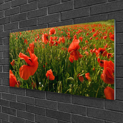 Glasbild aus Plexiglas® Mohnblumen Natur