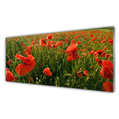 Glasbild aus Plexiglas® Mohnblumen Natur