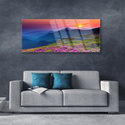 Glasbild aus Plexiglas® Gebirge Wiese Blumen Landschaft