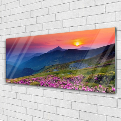 Glasbild aus Plexiglas® Gebirge Wiese Blumen Landschaft