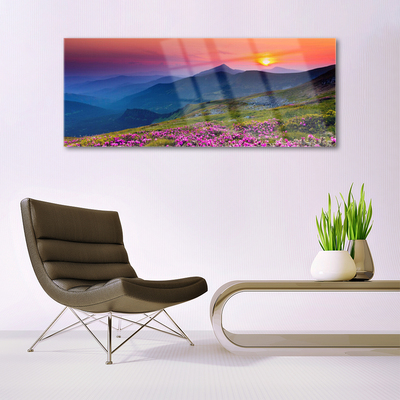 Glasbild aus Plexiglas® Gebirge Wiese Blumen Landschaft