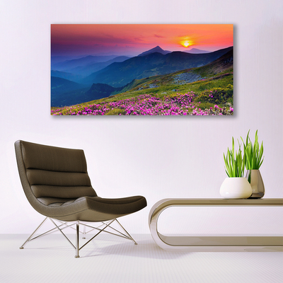 Glasbild aus Plexiglas® Gebirge Wiese Blumen Landschaft