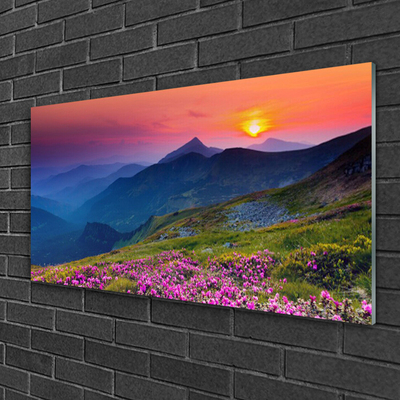 Glasbild aus Plexiglas® Gebirge Wiese Blumen Landschaft