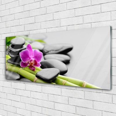 Glasbild aus Plexiglas® Bambusrohre Blume Steine Kunst