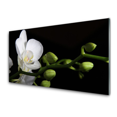 Glasbild aus Plexiglas® Blume Pflanzen