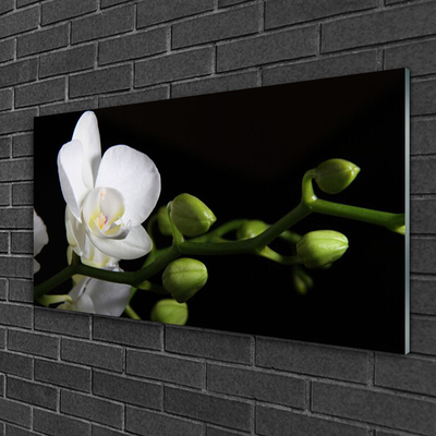 Glasbild aus Plexiglas® Blume Pflanzen