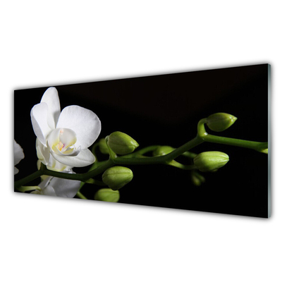 Glasbild aus Plexiglas® Blume Pflanzen