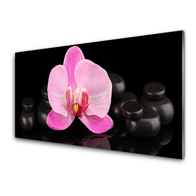 Glasbild aus Plexiglas® Blumen Steine Pflanzen