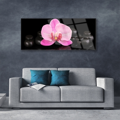 Glasbild aus Plexiglas® Blumen Steine Pflanzen