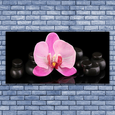 Glasbild aus Plexiglas® Blumen Steine Pflanzen