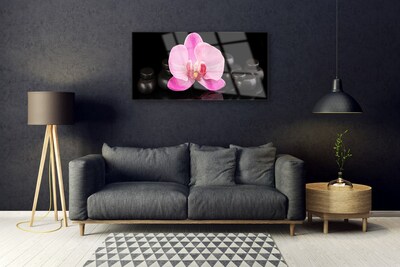 Glasbild aus Plexiglas® Blumen Steine Pflanzen