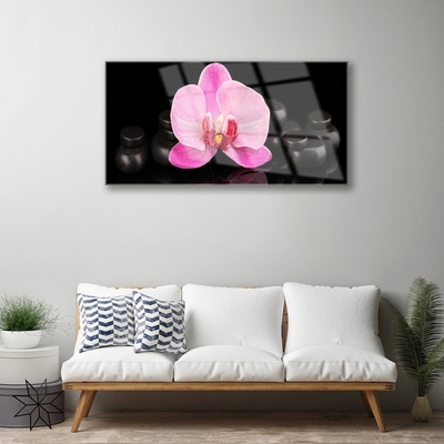 Glasbild aus Plexiglas® Blumen Steine Pflanzen