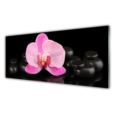 Glasbild aus Plexiglas® Blumen Steine Pflanzen