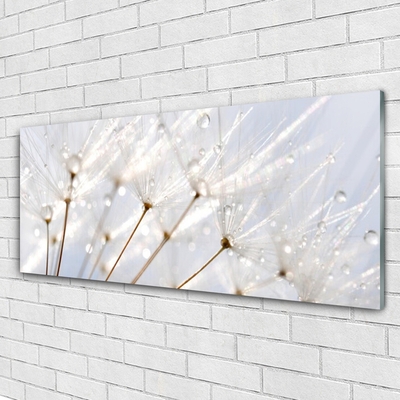 Glasbild aus Plexiglas® Pusteblume Pflanzen