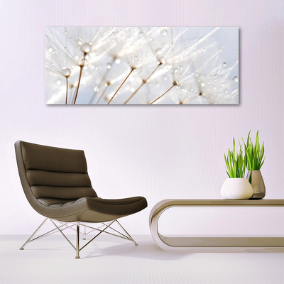 Glasbild aus Plexiglas® Pusteblume Pflanzen