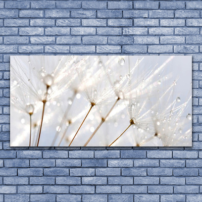 Glasbild aus Plexiglas® Pusteblume Pflanzen