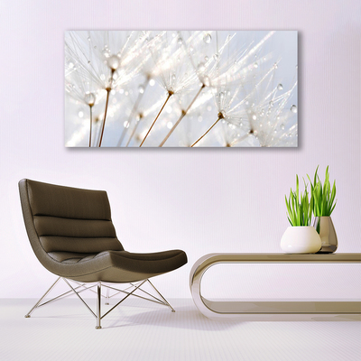 Glasbild aus Plexiglas® Pusteblume Pflanzen