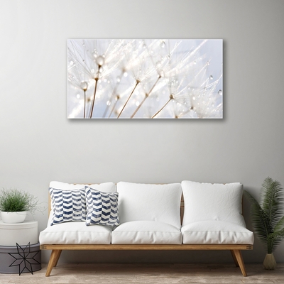 Glasbild aus Plexiglas® Pusteblume Pflanzen