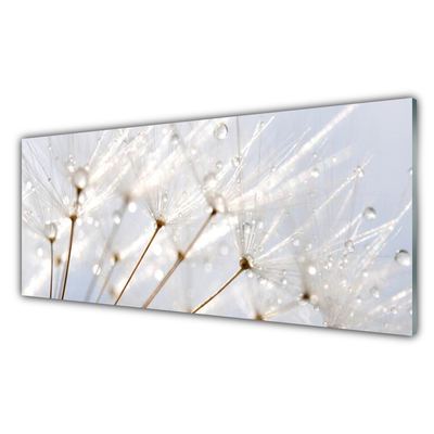 Glasbild aus Plexiglas® Pusteblume Pflanzen