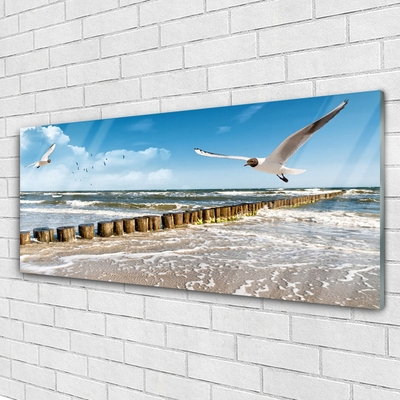 Glasbild aus Plexiglas® Möwen Meer Landschaft