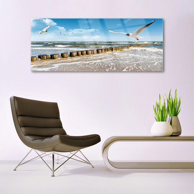 Glasbild aus Plexiglas® Möwen Meer Landschaft