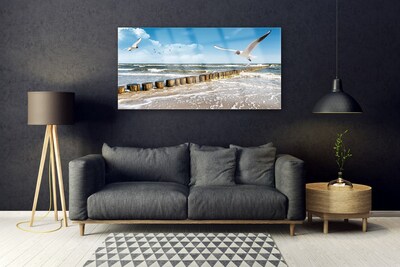Glasbild aus Plexiglas® Möwen Meer Landschaft