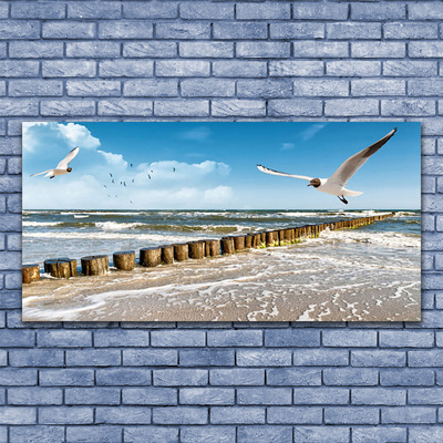 Glasbild aus Plexiglas® Möwen Meer Landschaft