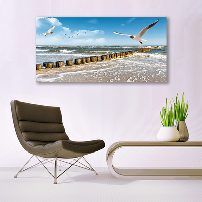 Glasbild aus Plexiglas® Möwen Meer Landschaft