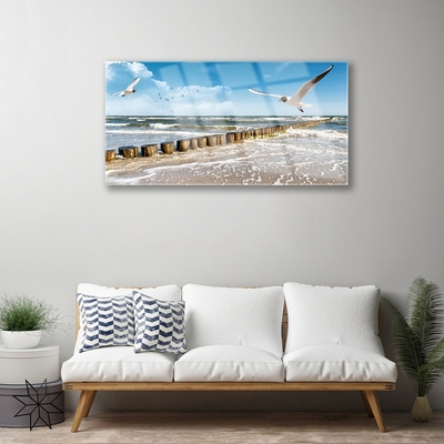 Glasbild aus Plexiglas® Möwen Meer Landschaft