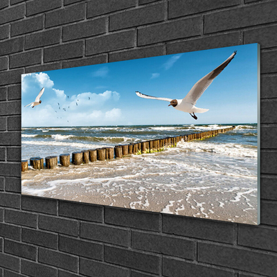 Glasbild aus Plexiglas® Möwen Meer Landschaft