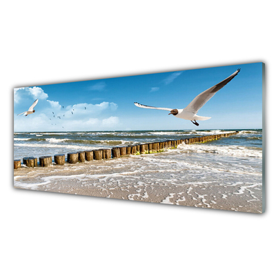 Glasbild aus Plexiglas® Möwen Meer Landschaft