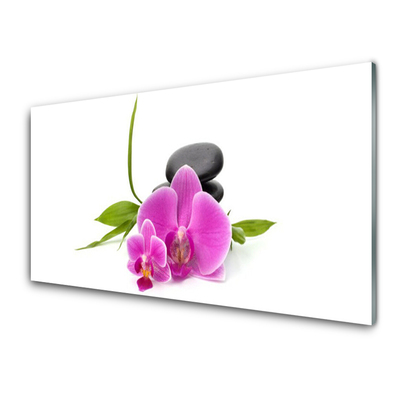 Glasbild aus Plexiglas® Blumen Steine Pflanzen