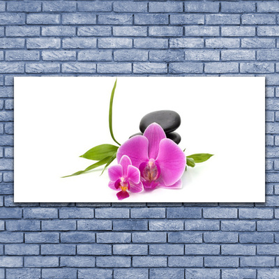 Glasbild aus Plexiglas® Blumen Steine Pflanzen