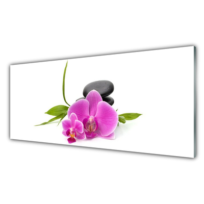 Glasbild aus Plexiglas® Blumen Steine Pflanzen