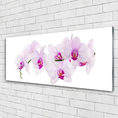 Glasbild aus Plexiglas® Blumen Pflanzen