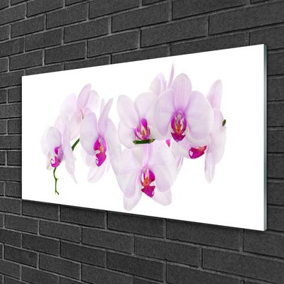 Glasbild aus Plexiglas® Blumen Pflanzen