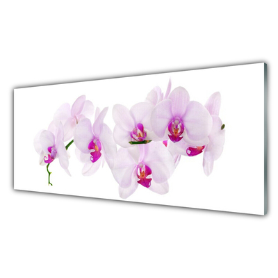 Glasbild aus Plexiglas® Blumen Pflanzen